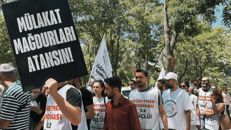 PİKTES Projesi
