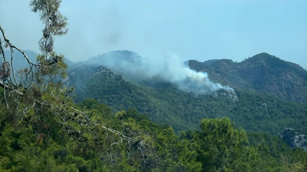 Kemer orman yangını