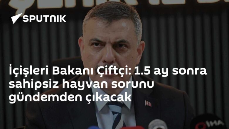 sahipsiz hayvan