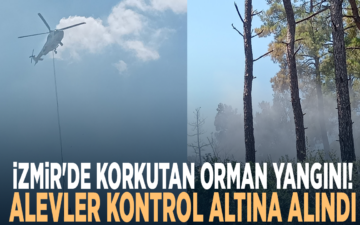orman yangını
