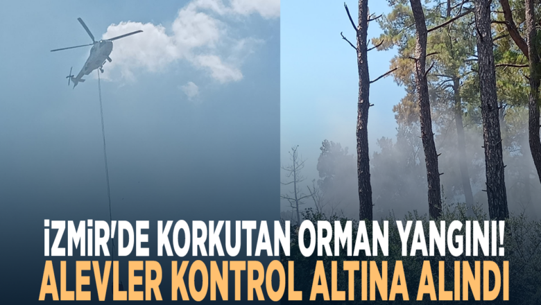 orman yangını